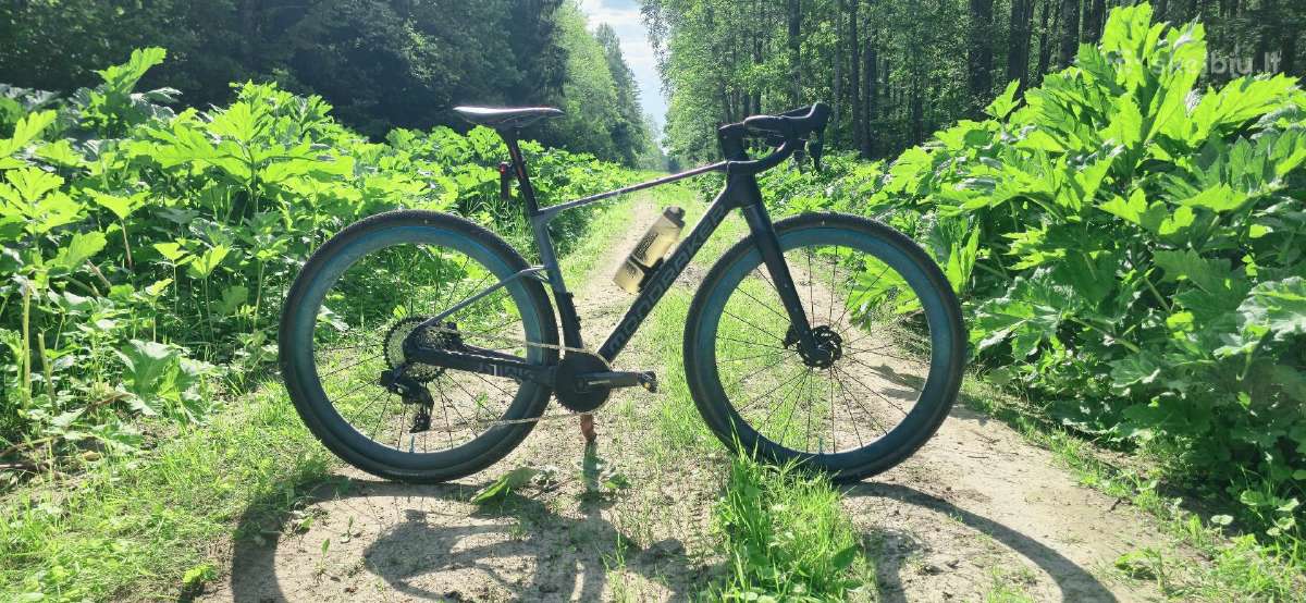 Mondraker Arid