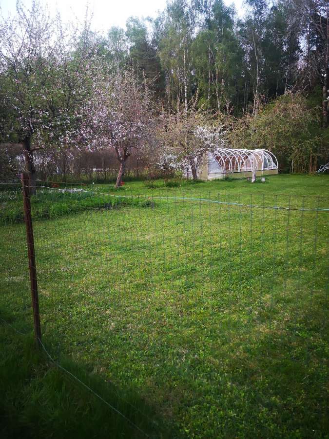 Parduodu sodą 6,3 a. S.b.„jazminas“ Kurmaičių km. - nuotraukos Nr. 2