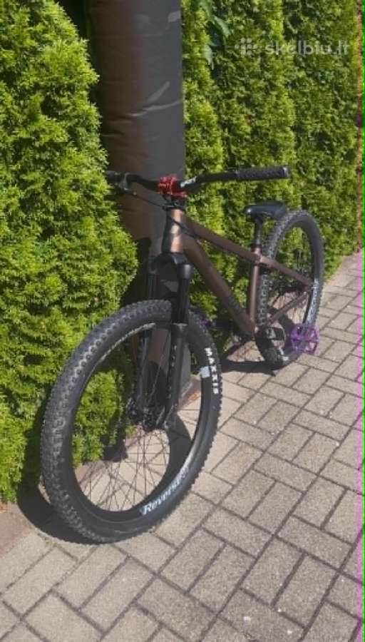 Rose The Bruce 1 MTB/hardtail dviratis