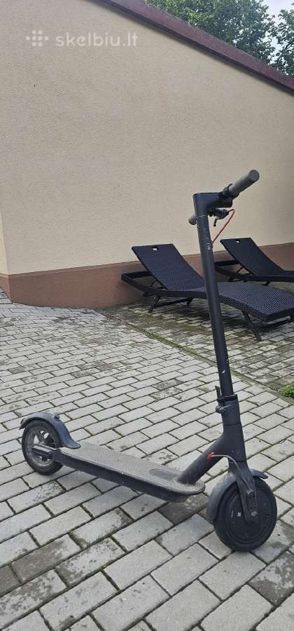 Pasirtukas el xeomi nesikrauna