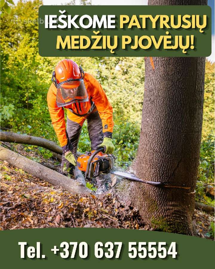 Ieškome patyrusių medžių pjovėjų / genėtojų