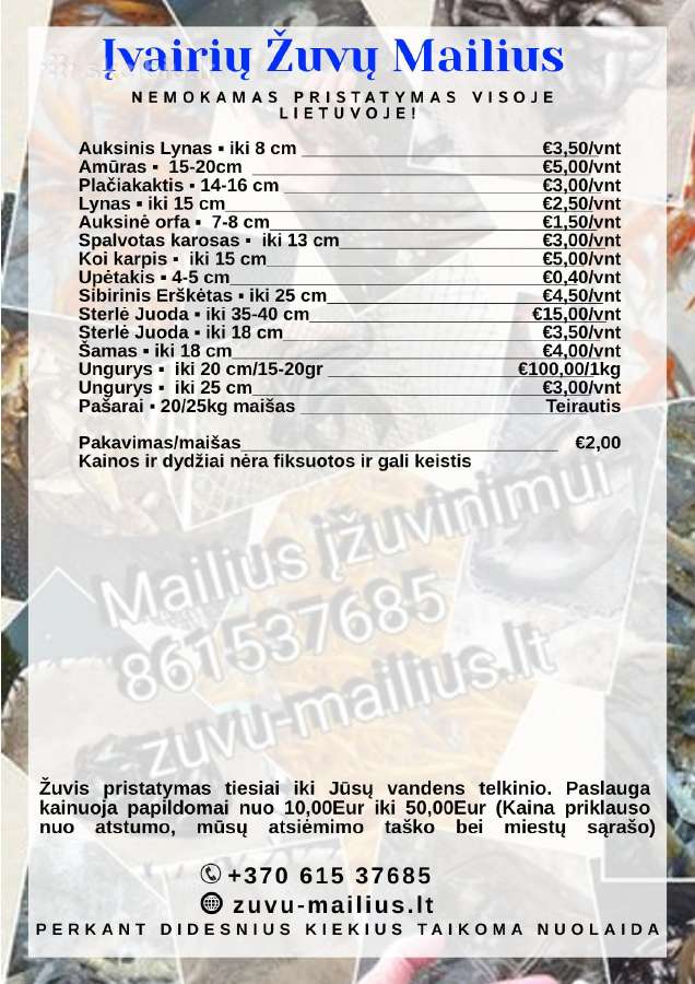 Tvenkiniai, įžuvinimas, mailius, žuvys - nuotraukos Nr. 2
