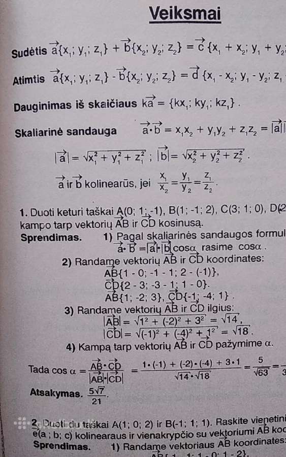 Matematikos korepetitorius - nuotraukos Nr. 8