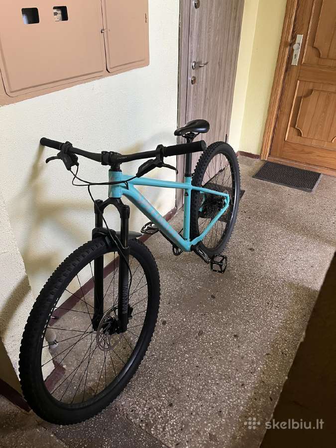 Specialized rockhopper 29