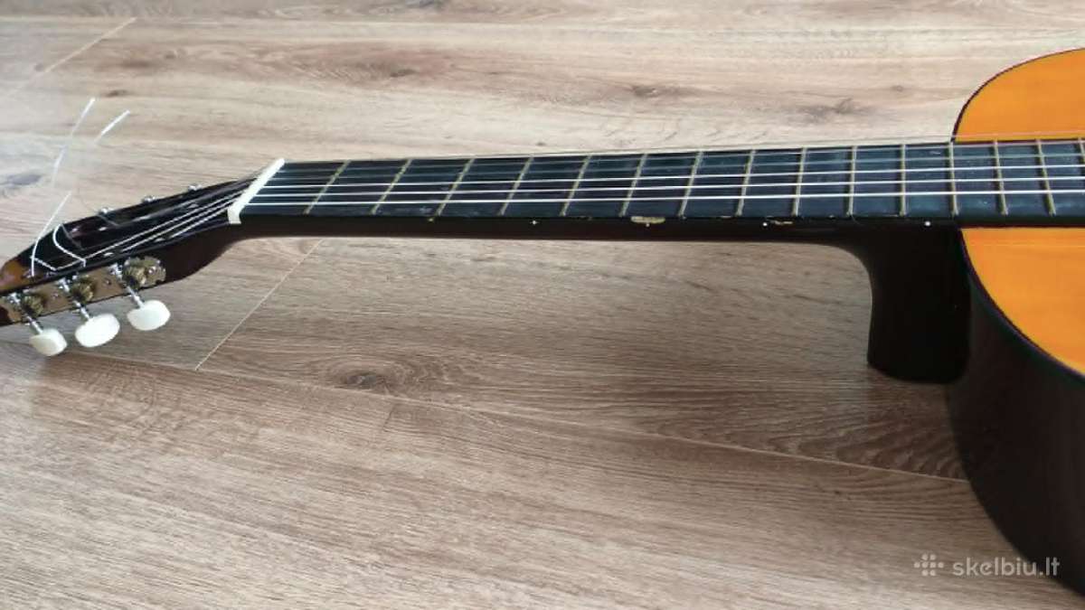 Gitara - nuotraukos Nr. 4