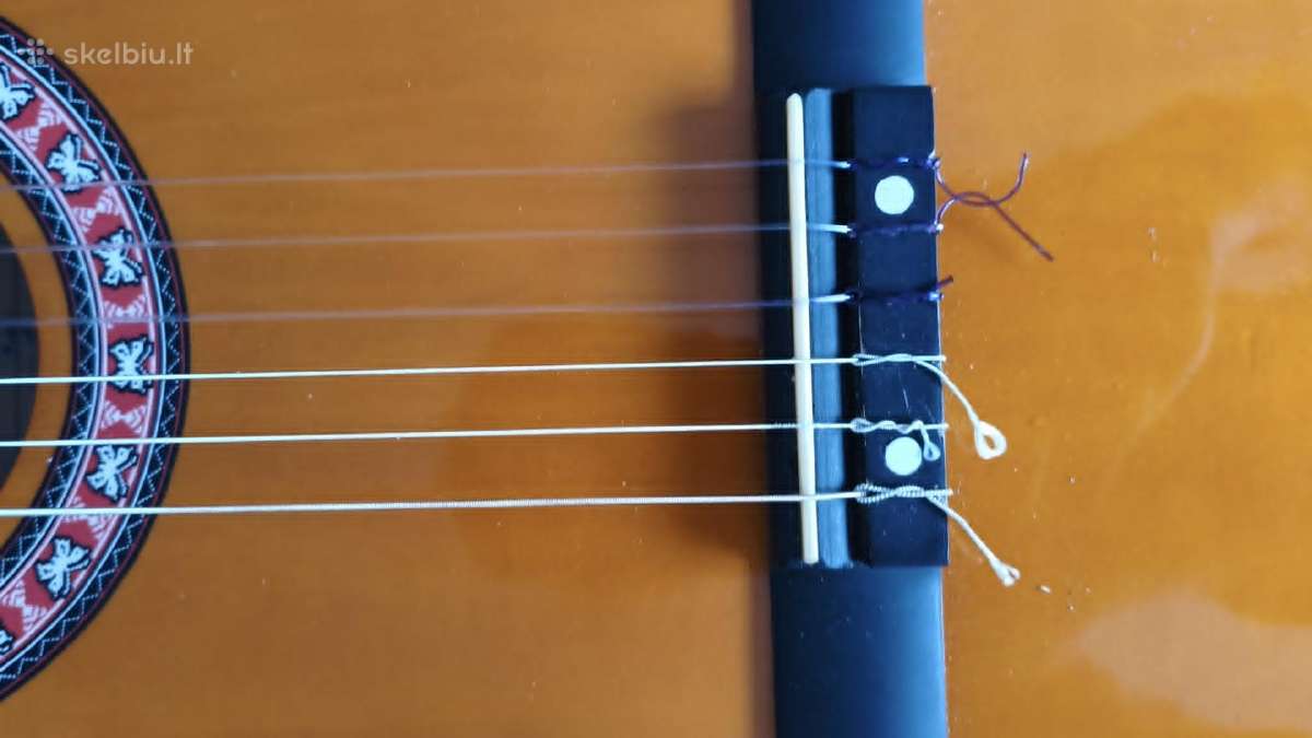 Gitara - nuotraukos Nr. 5