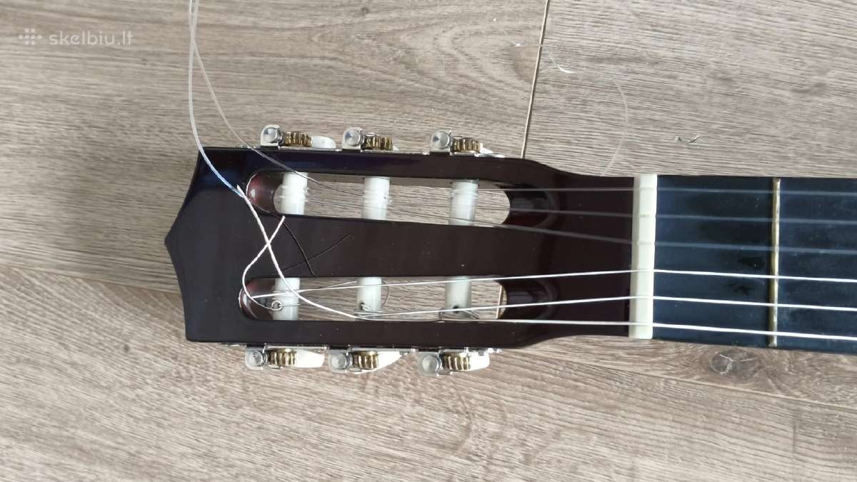Gitara - nuotraukos Nr. 6