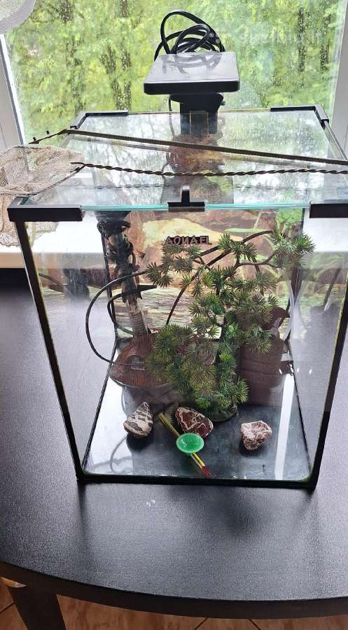 Akvariumas 30l.