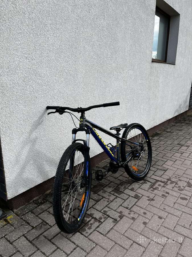 Cannondale MTB Dviratis