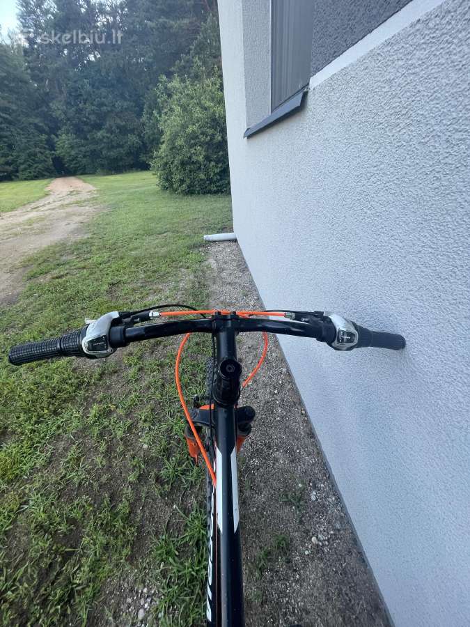 Esperia Enjoy 24 Kalnų dviratis - nuotraukos Nr. 3