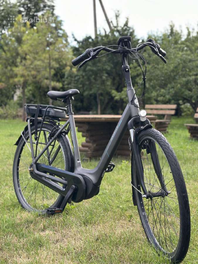 Gazelle Orange