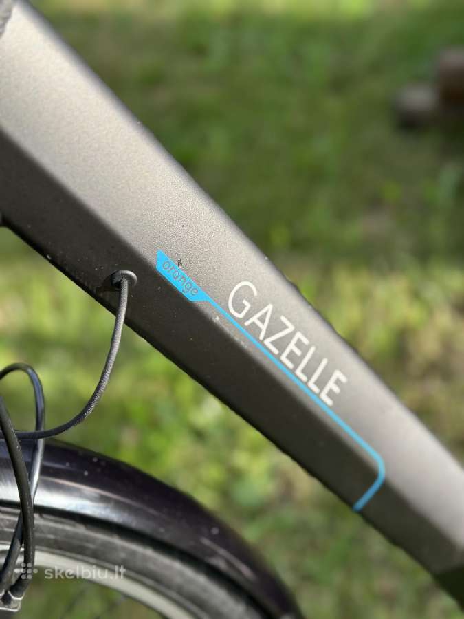 Gazelle Orange - nuotraukos Nr. 6