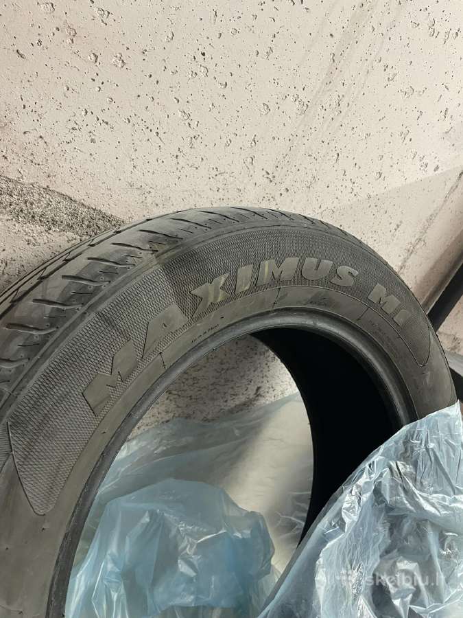 Maxtrek Maximus M1 vasarines padangos