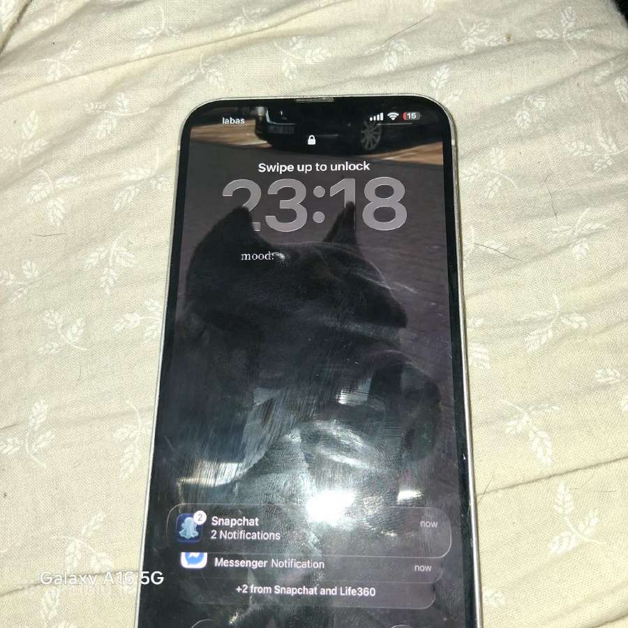 iPhone 14 Plus - nuotraukos Nr. 4