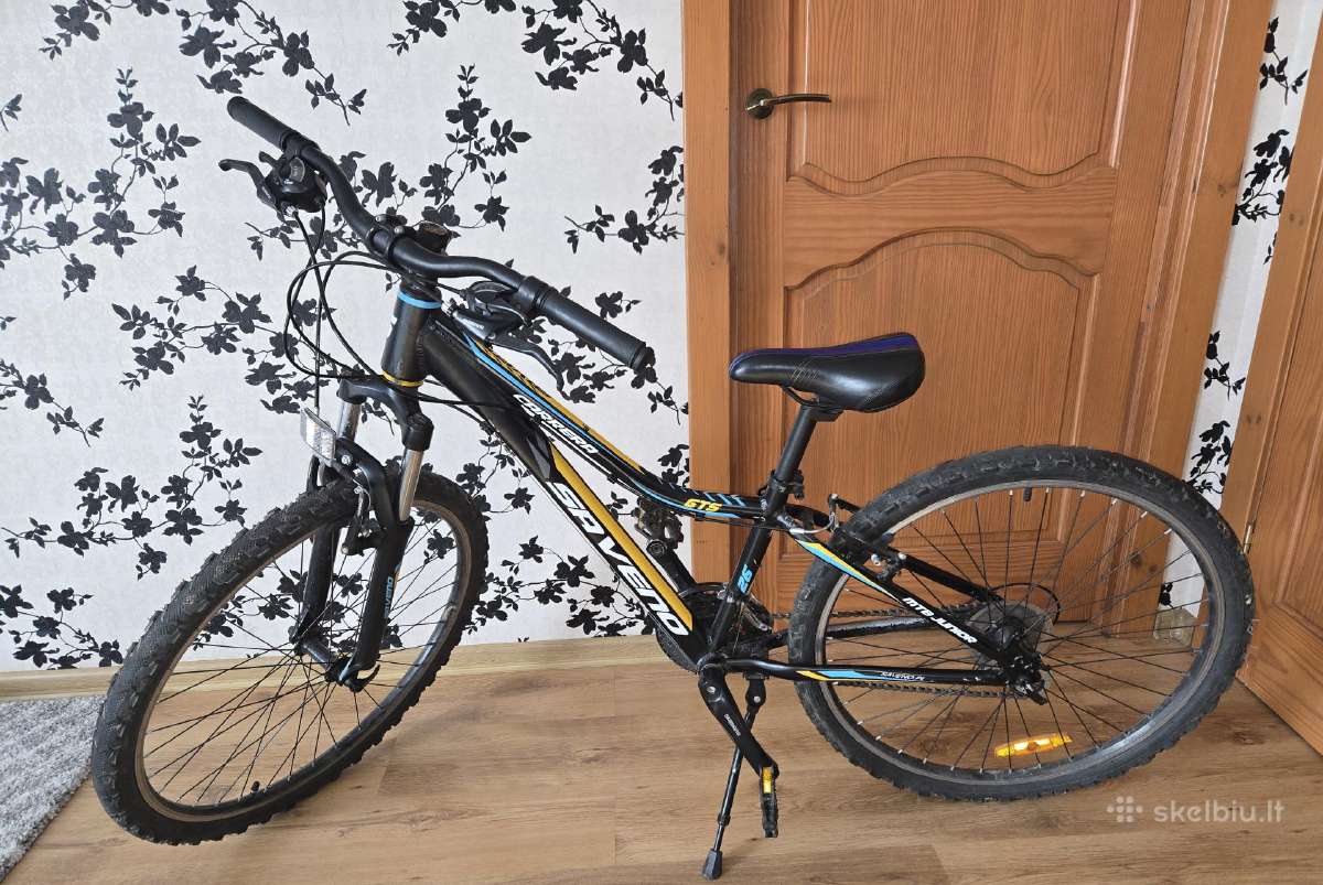 Saveno Carrera Gts 26 dviratis