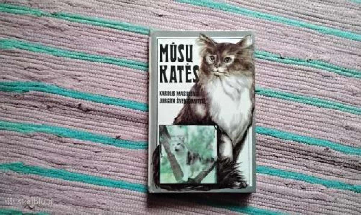 Mūsų katės K. Masilionis, J. Šventoraitytė