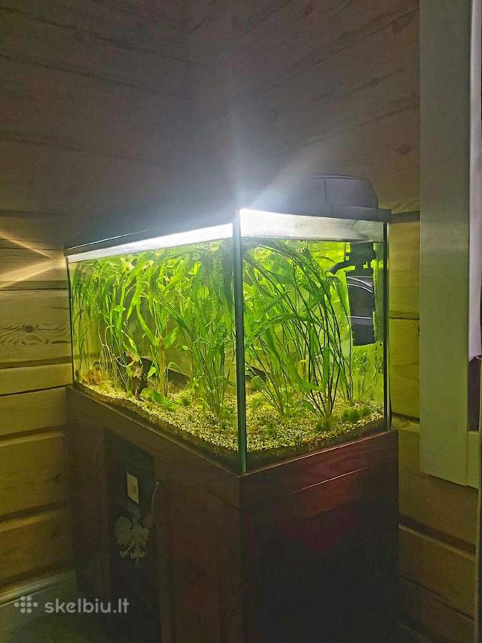 Akvariumas 200 l