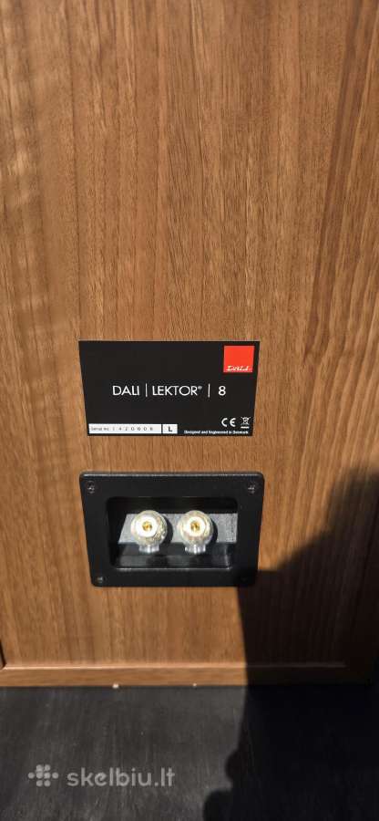 Dali lektor 8 - nuotraukos Nr. 11