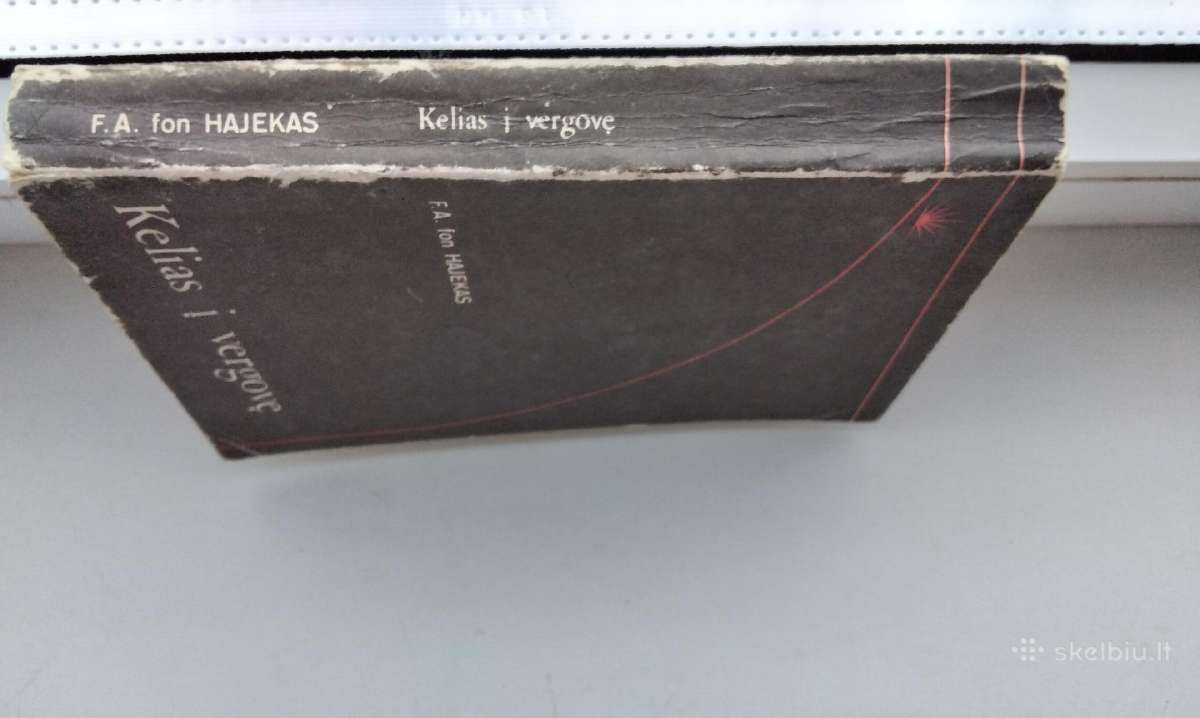 Kelias į vergovę. Nepriklausomybė demokratija, vi - nuotraukos Nr. 10