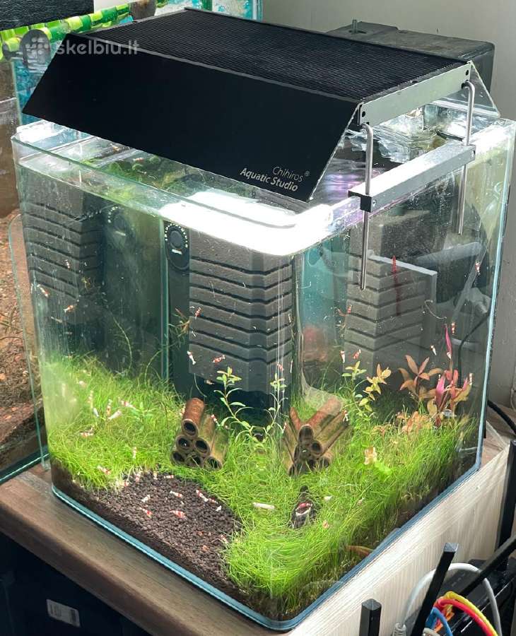 Akvariumas Dennerle 30l su Red Crystal krevetėmis