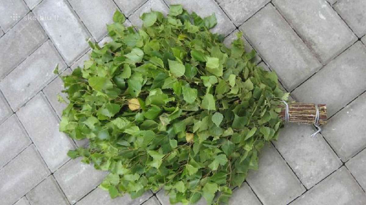 Kokybiškos beržinės vantos