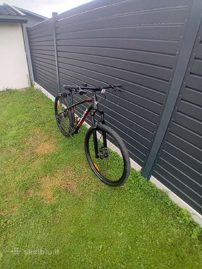Principia 29 er orine sake lengvas - nuotraukos Nr. 2