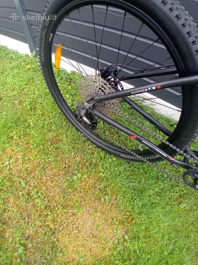 Principia 29 er orine sake lengvas - nuotraukos Nr. 10