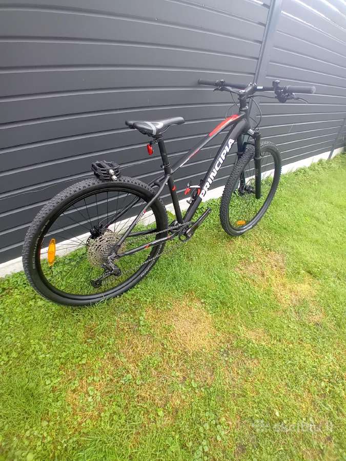 Principia 29 er orine sake lengvas - nuotraukos Nr. 11