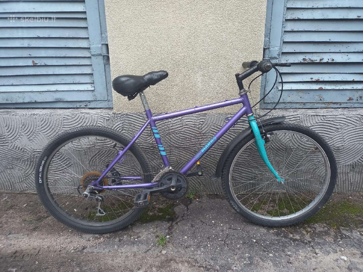 Vaikiškas dviratis