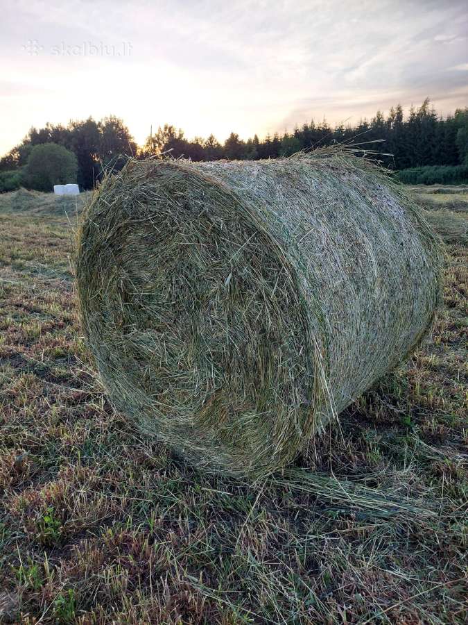 Parduodamas šienas 50vnt,15e. Šienainis 45vnt,25e - nuotraukos Nr. 2