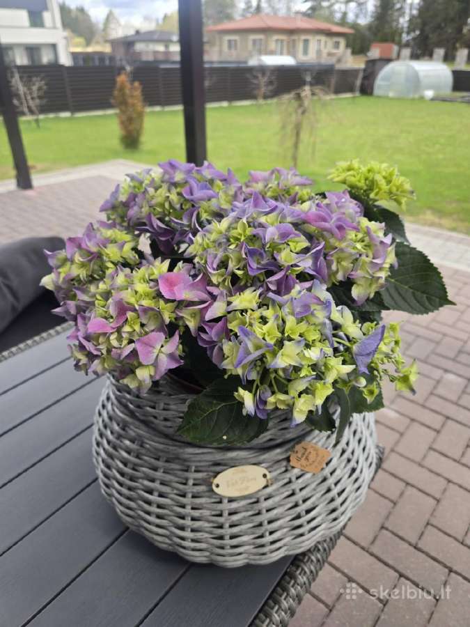 Rankų darbo pinti kašpo vazonai - nuotraukos Nr. 17