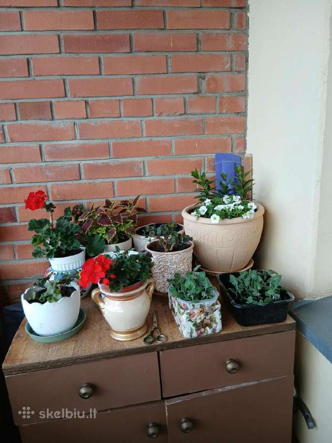 Parduodamas 1k butas - nuotraukos Nr. 9