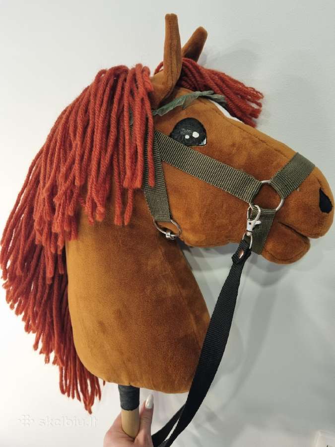 Hobby horse