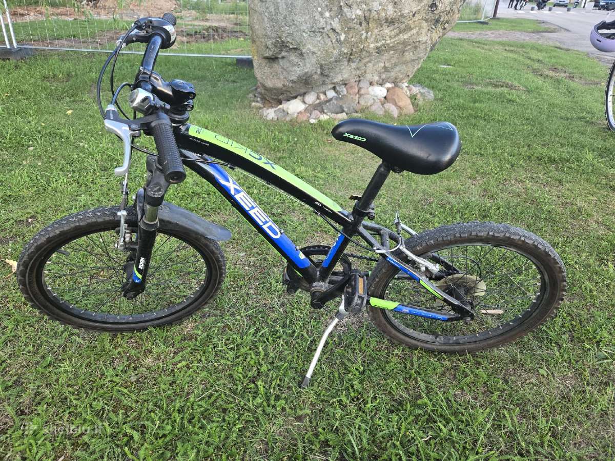 Vaikiškas dviratis 20''