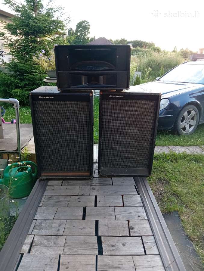 Koncertines koloneles zemuju dazniukolonele ir ros