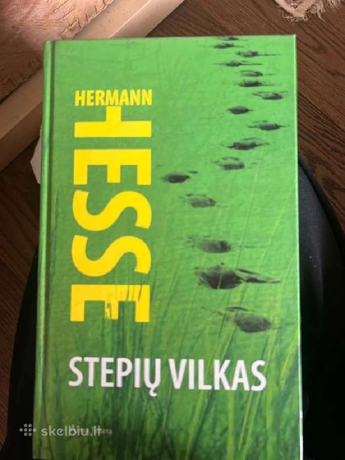 Stepių vilkas (2009)