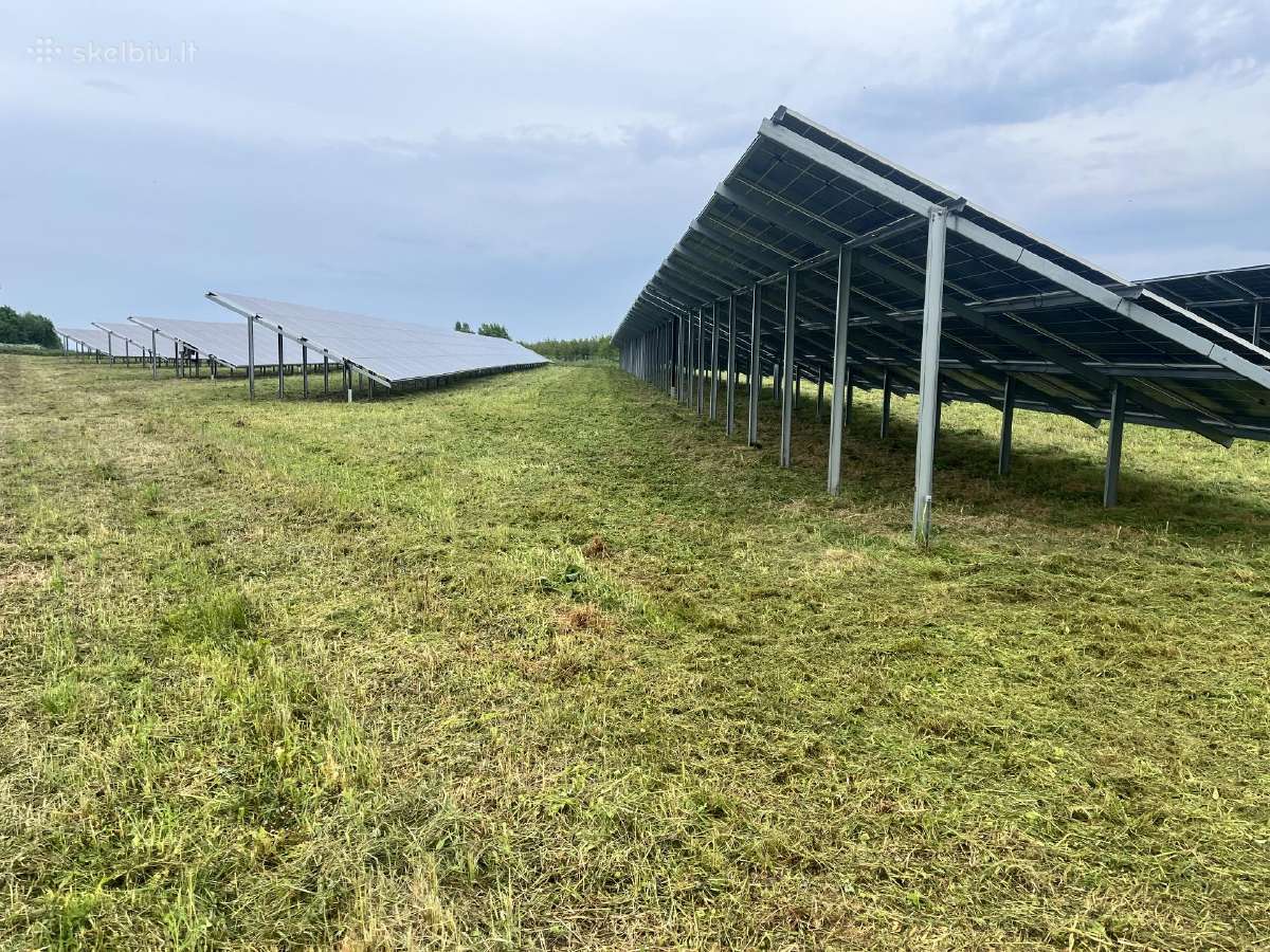 Vejos, žolės pjovimas, apleistų sklypų tvarkymas. - nuotraukos Nr. 9