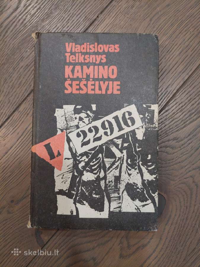 Kamino šešėlyje