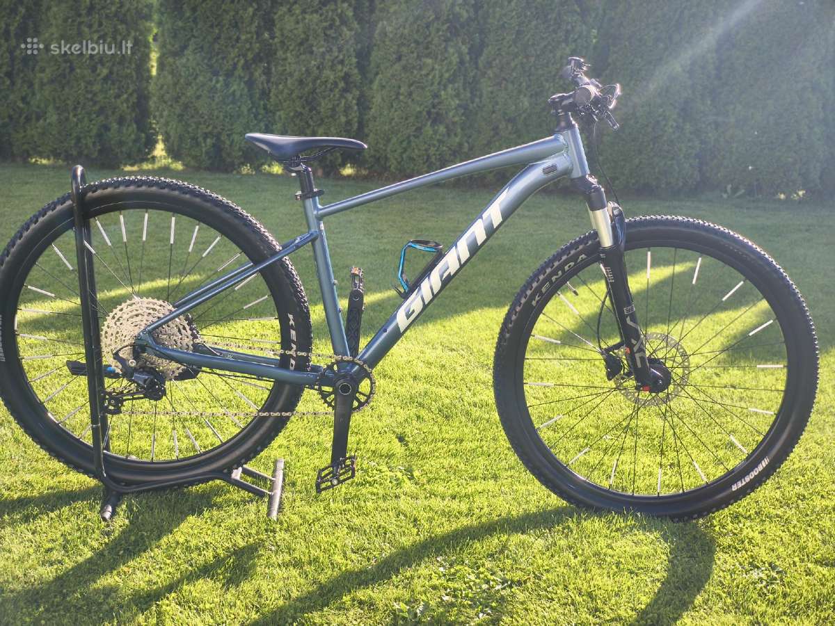 Giant (M) - nuotraukos Nr. 2
