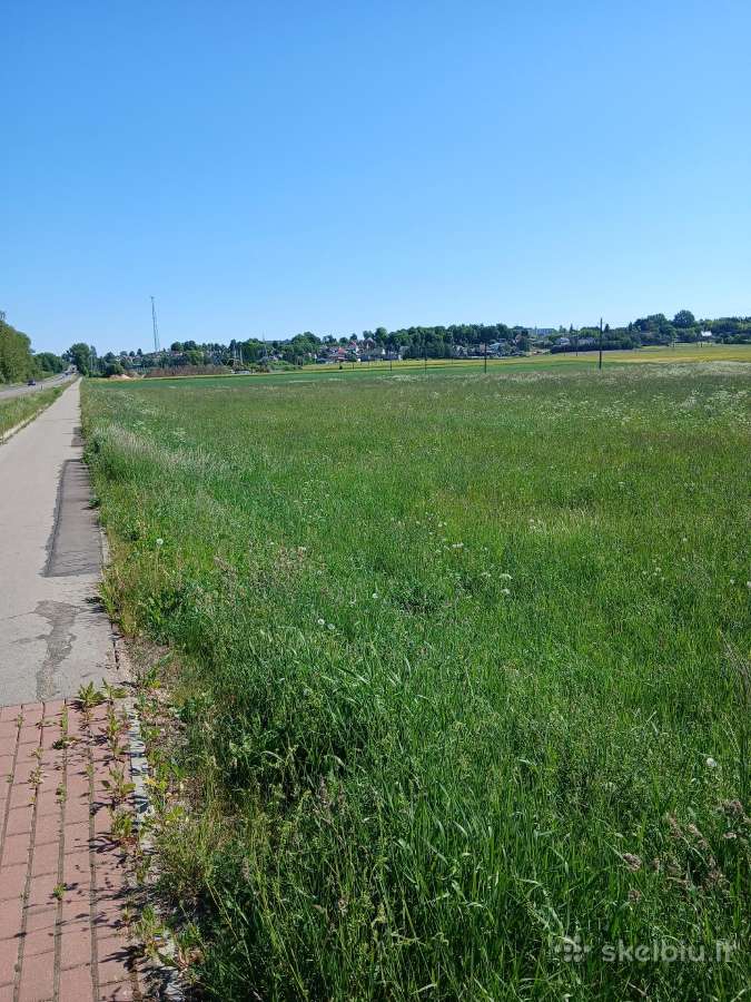 Komercijai ,galima dalynti i kelis sklypus - nuotraukos Nr. 3