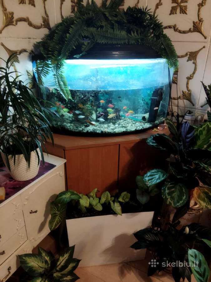 Parduodu akvariumą