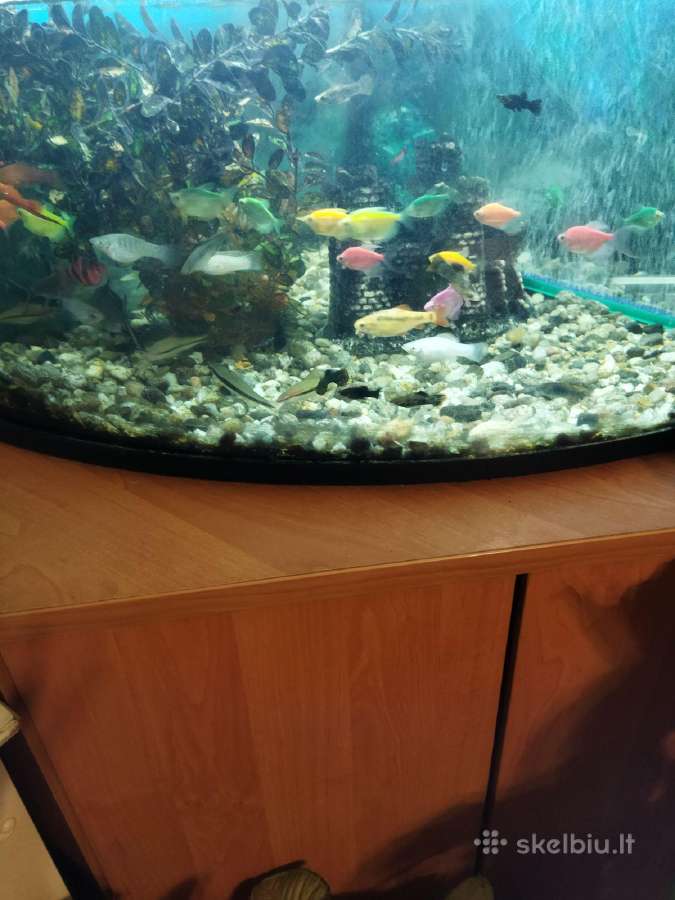 Parduodu akvariumą - nuotraukos Nr. 2