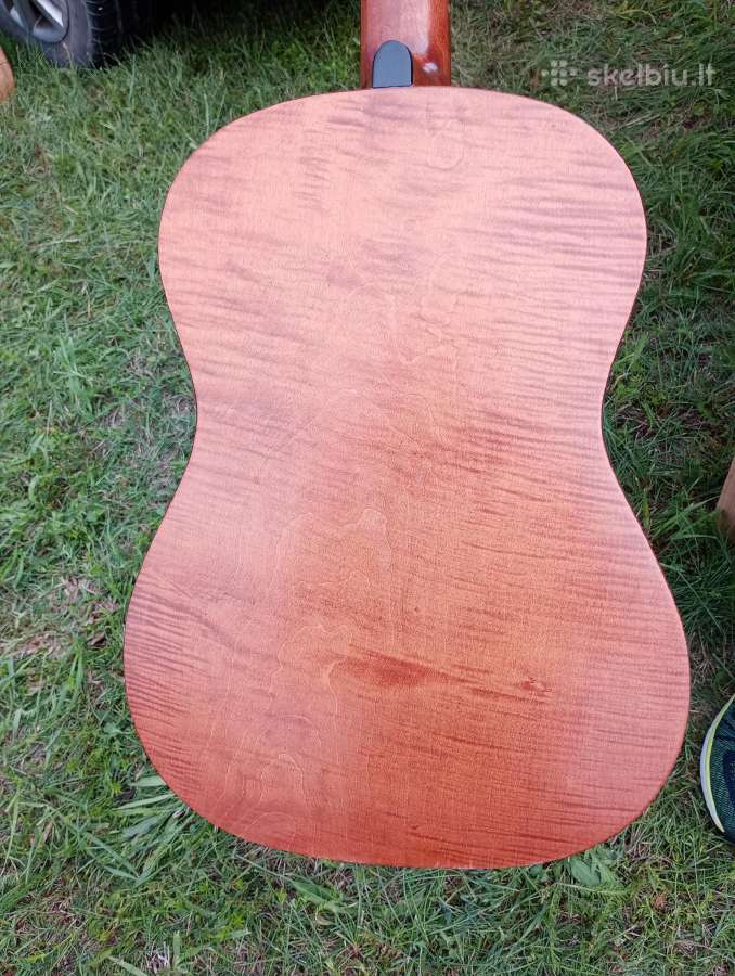 Gitara - nuotraukos Nr. 3