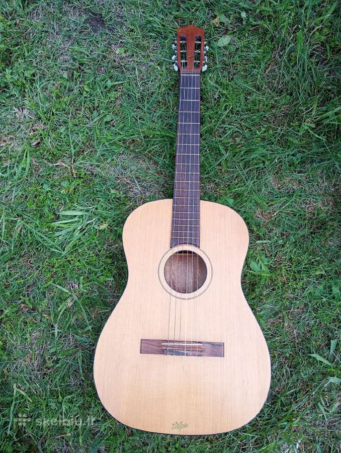 Gitara - nuotraukos Nr. 4