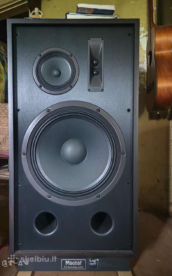 Magnat Transpuls Horn System + Siemens 1991 Tubes
