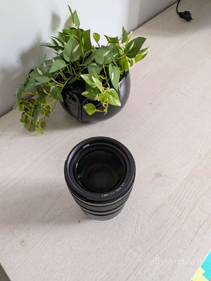 Panasonic Lumix S Pro 50 mm f/1.4 - nuotraukos Nr. 2