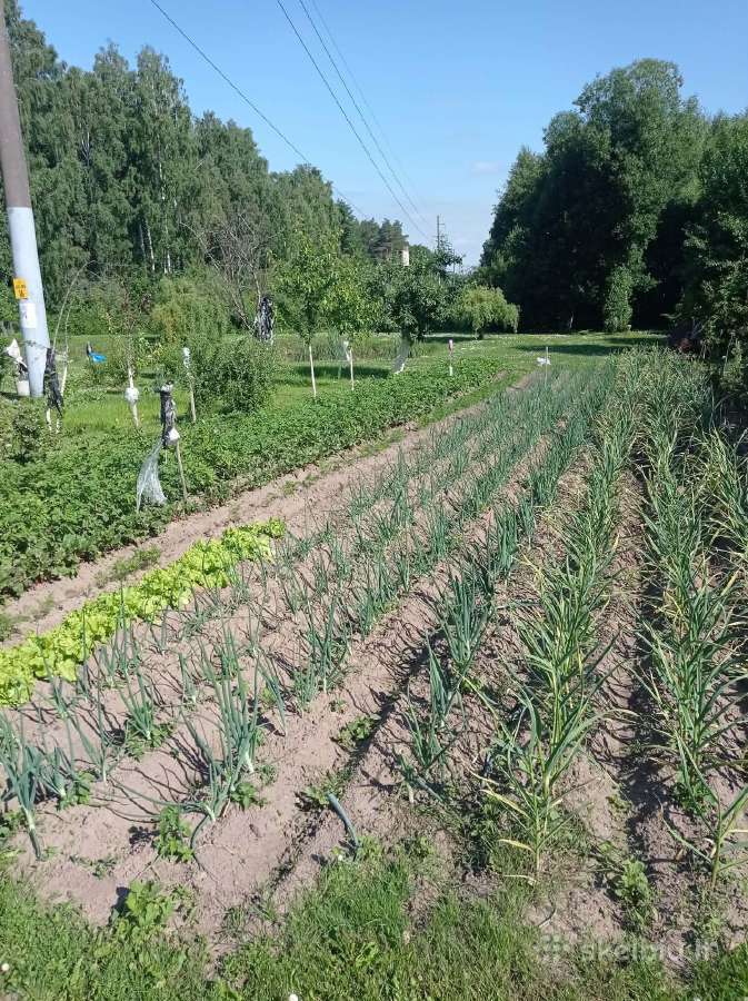 Parduodamas 6,21 arų žemės sklypas - nuotraukos Nr. 7