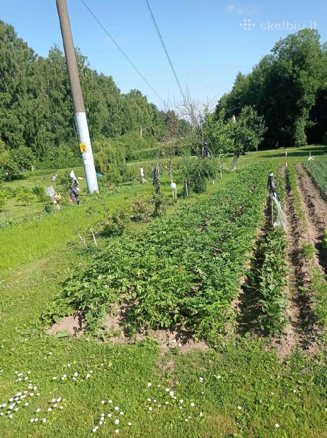 Parduodamas 6,21 arų žemės sklypas - nuotraukos Nr. 8