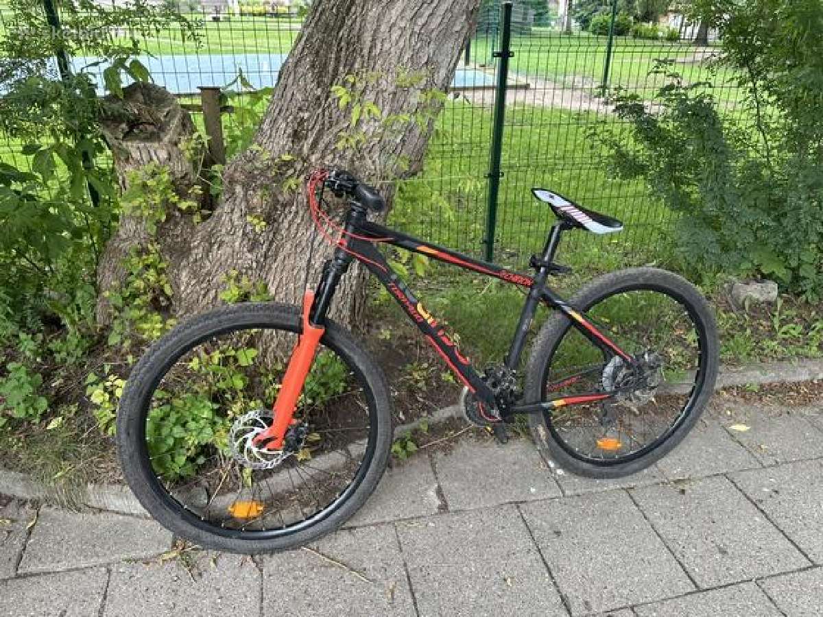 Dviratis Torpado Chiron 21 pavara
