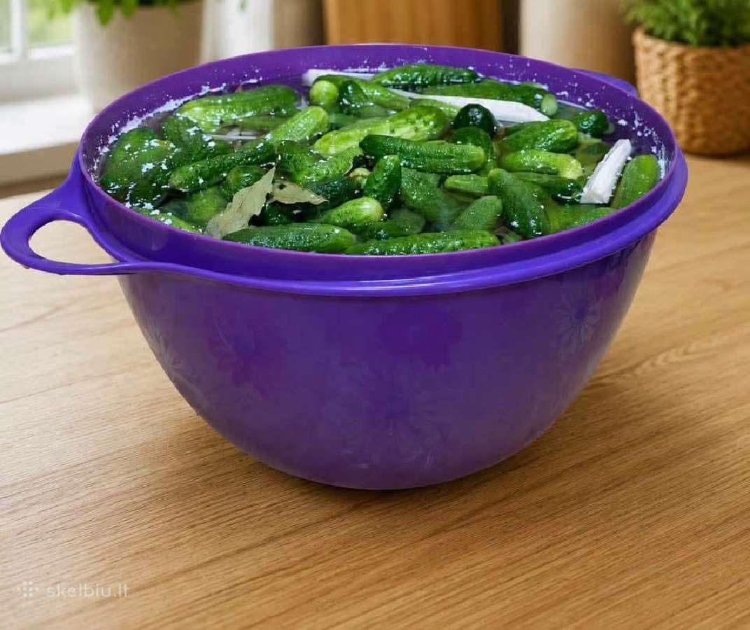 Tupperware 10l dubuo